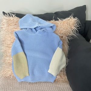 Zara l Color Block Pullover Hoodie